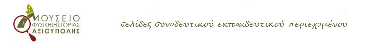 logo museum